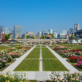 中之島公園（バラ園）